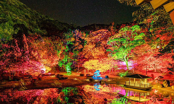 ���܂������}���e�B�b�N�t�@���^�W�[