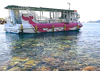 The pleasure boat of Ushibuka sea park