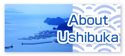 About Ushibuka