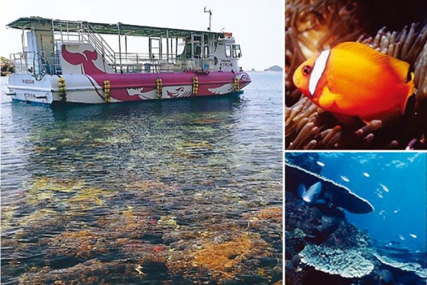 牛深海中公園遊覧ブルーマリン