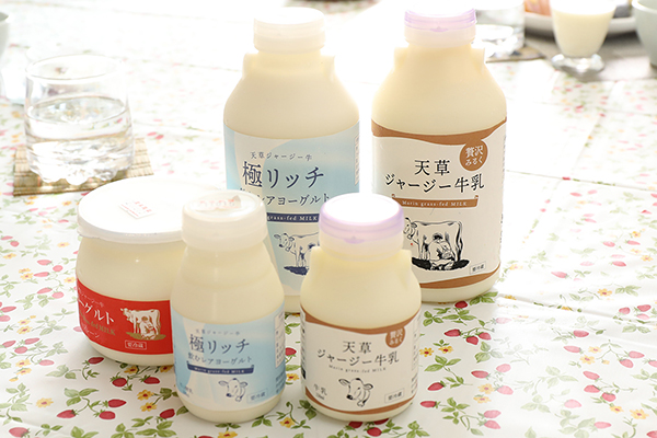 ヨーグルト（熊本県農産物加工食品コンクール銅賞）と牛乳