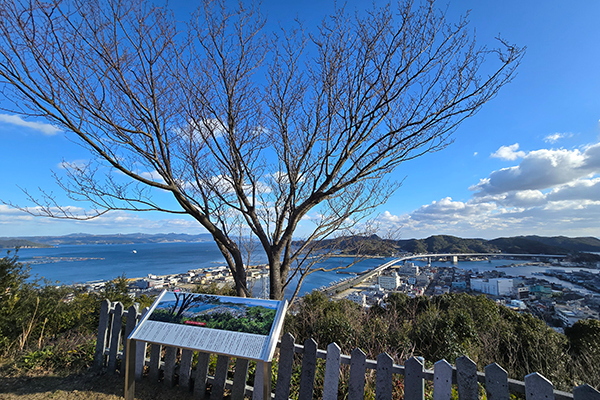 遠見山 まつたけ公園