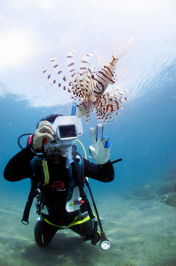 水中写真フォト講座