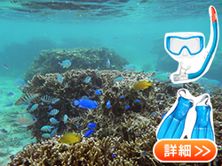 スノーケリング