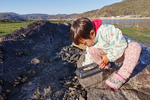 宿前で海遊びが出来ます