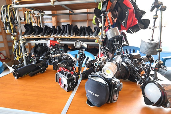 充実したカメラのラインナップ