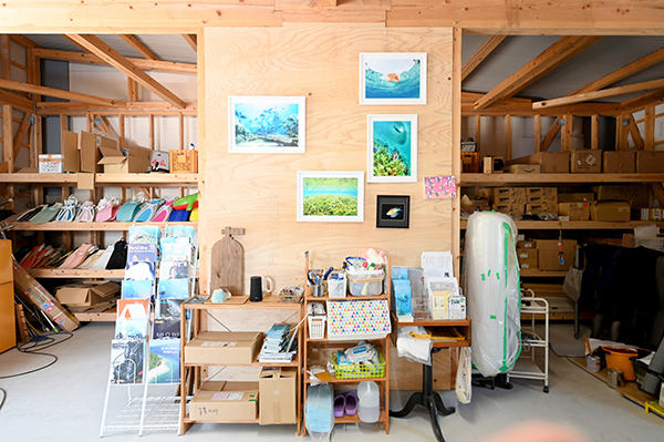 壁に水中写真が展示