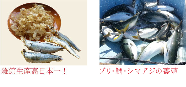 熊本県下最大の漁港